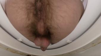 VR360* You Are Toilet Slave For Giant Frank (Ginary)