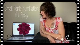 Small Penis Humilation Rating for Sissy (Mixxxie)
