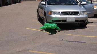 Madison Crushes Inflatables With Car HD (Custom Fetish)