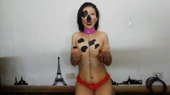 I AM A CUTE PUPPY WITH A COLLAR TO TRAINING (_Arlequin_)
