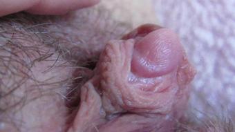 Cuteblonde666 Extreme Close Up On My Hairy Pussy (cuteblonde666)