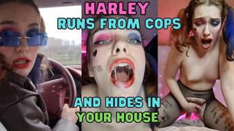 Harley Quinn Runs From Cops POV FUCK - April 26, 2022 (WetSchoolGirl)