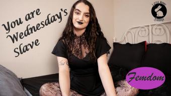 Wednesday Makes You Her Submissive - Aug 11, 2022 (LittleBunnyB)