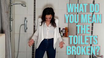 What Do You Mean The Toilets Broken (Summer Fox)