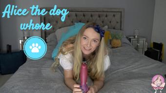 Alice the dog whore - December 12, 2019 (Brea Rose)