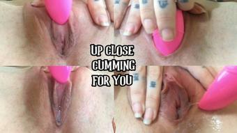Up Close Cuming For You (Tetra69)