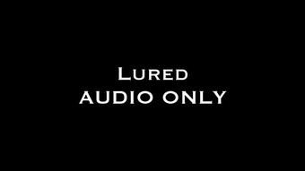 Lured AUDIO ONLY (Nina Crowne)