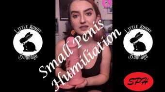 Small Penis Humiliation with Toys - Dec 1, 2021 (LittleBunnyB)