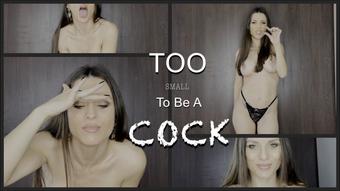 Too Small to be a Cock- SPH (Rebecca de Winter)