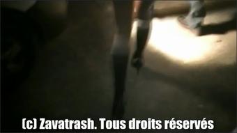 Zavatrash_Amateur_French_X264 (8) (zavatrash)