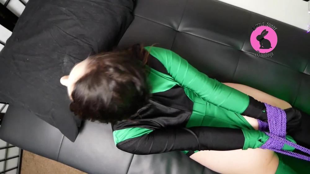 Shego Hogtied