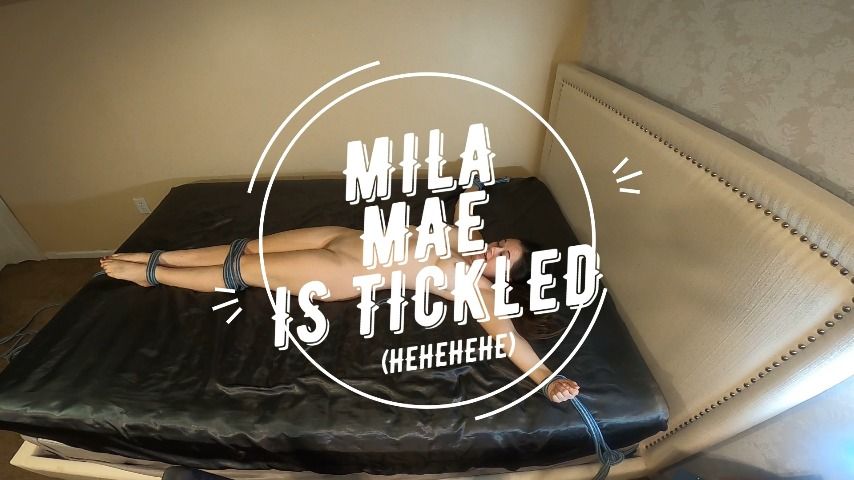 Tickle Fetish while Bound - November 22, 2021