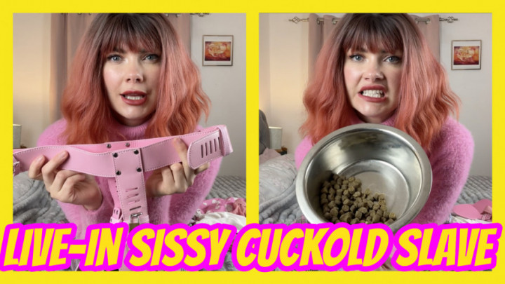 Live-In Sissy Cuckold Slave - January 08, 2025