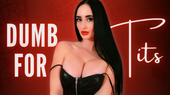 Dumb for Tits - December 18, 2024
