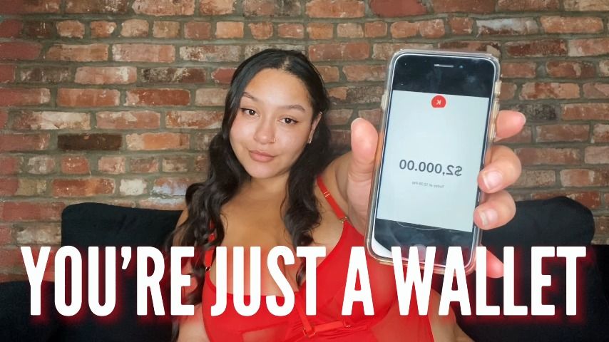You're Just a Wallet: FinDom Humiliation - Mar 22, 2023