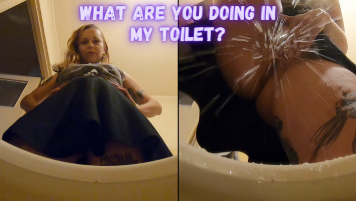 Aimeewavesxxx What Are You Doing In My Toilet