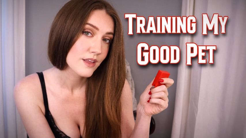Training My Good Pet - December 03, 2022