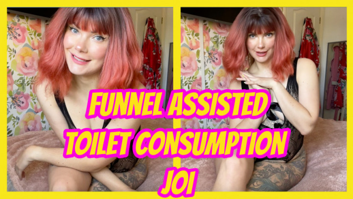 Funnel Assisted Toilet Consumption JOI - May 18, 2025
