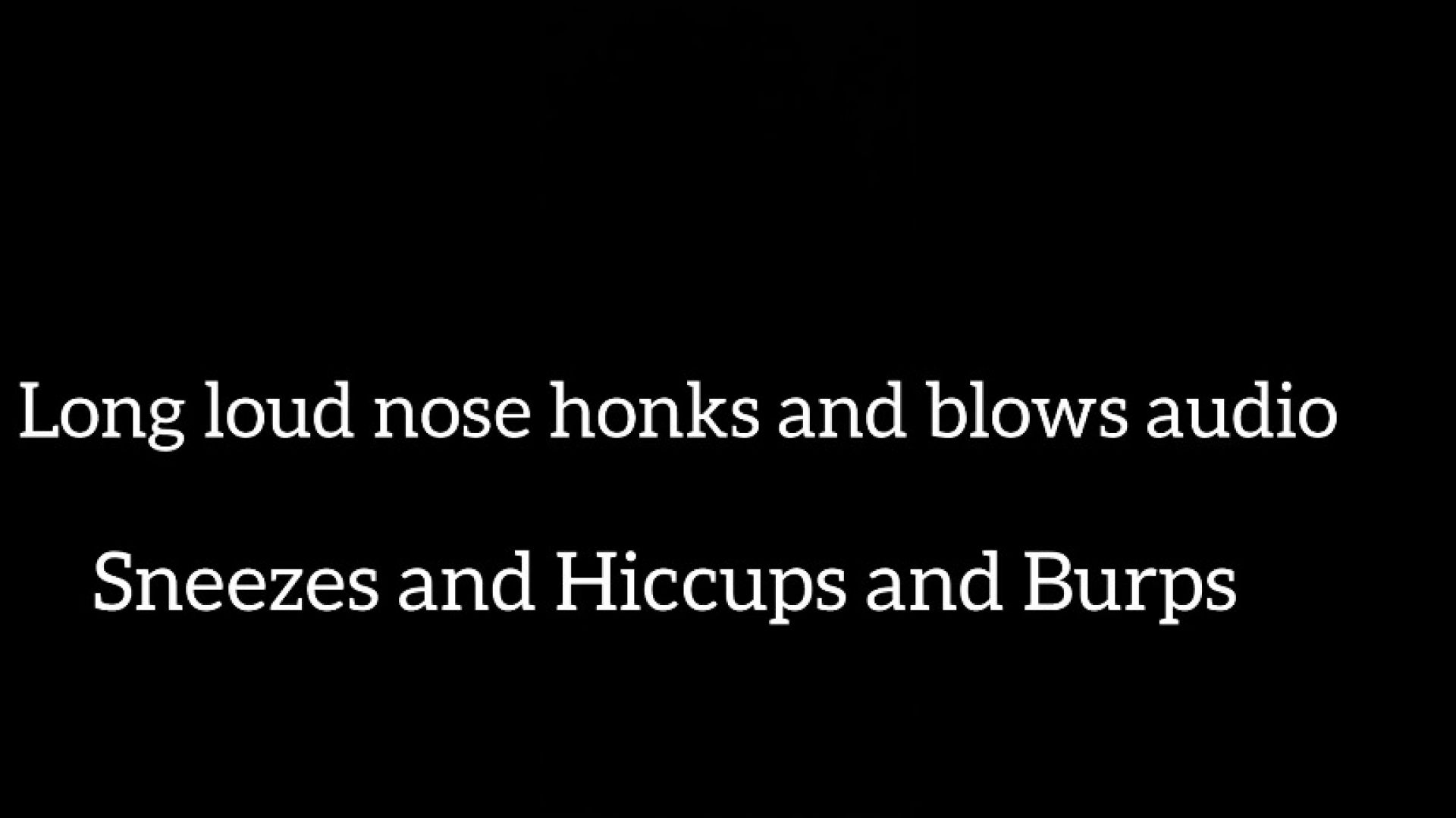 LONG LOUD HONKS SNEEZES AND NOSE BLOWING FLUTE LIKE AUDIO