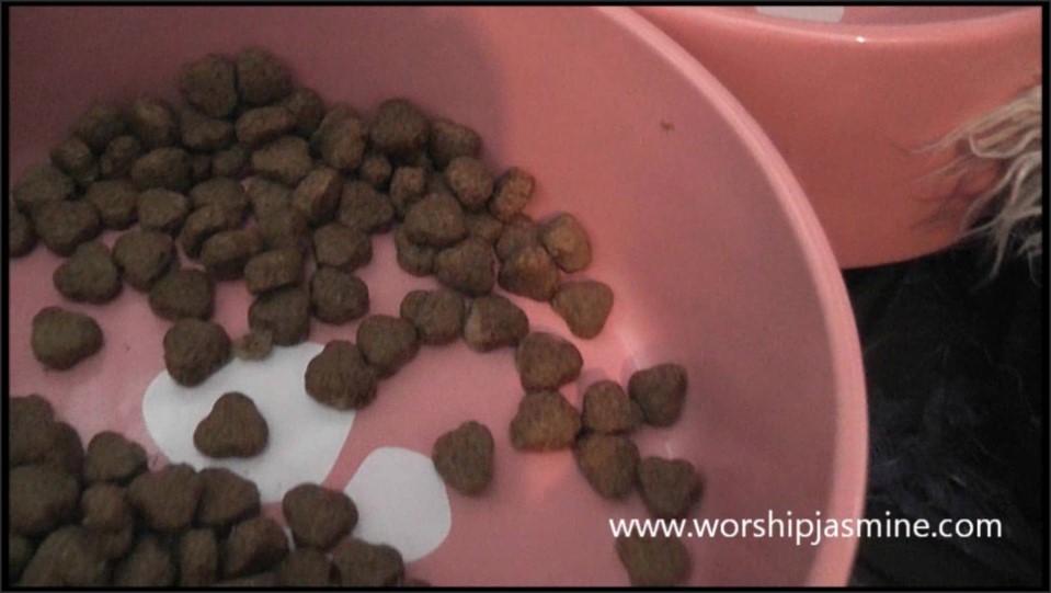 Worship Jasmine Caged Whilst She Lives Your Life 1080P