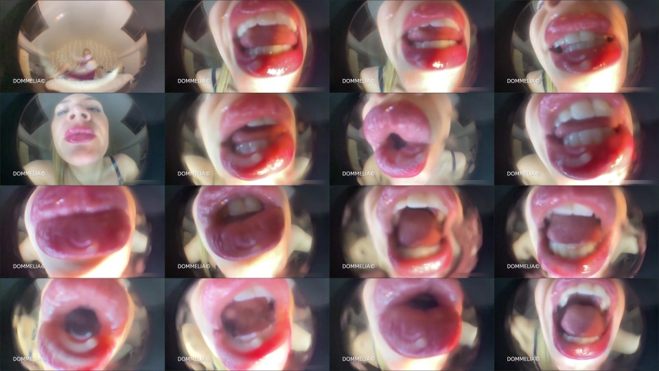 Dommelia - Extreme Verbal Abuse For A Perverted Voyeur