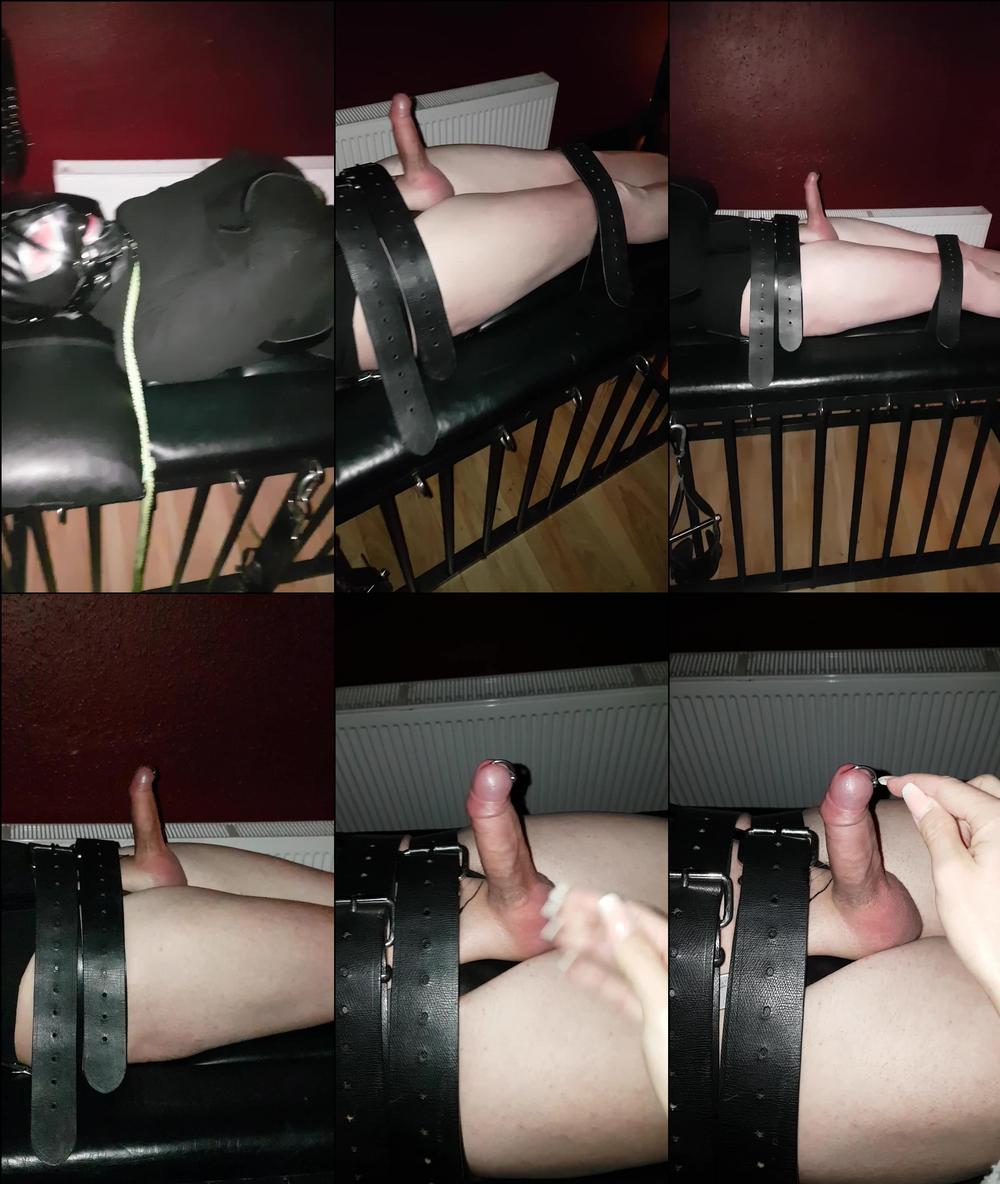 sarahjessica 02 04 2018 8358666 clip straight jacket and strapped down to bondage bed totally