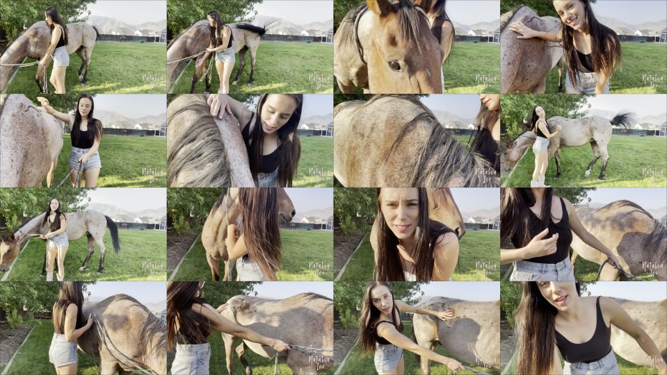 Natalialeo Meet My Newest Horse