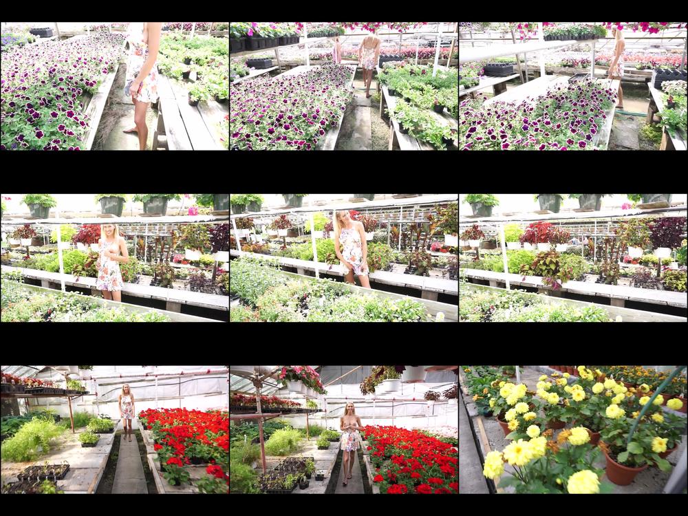 Flashing At The Garden Center