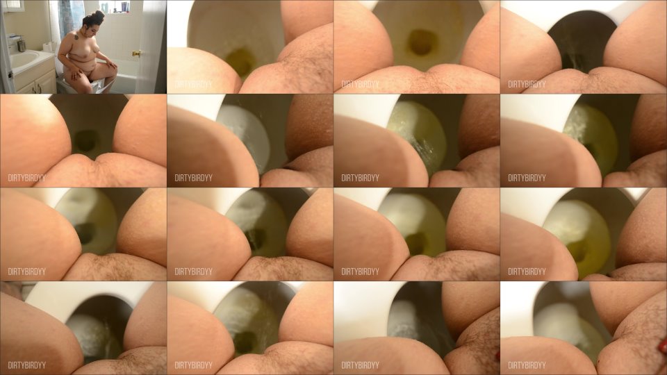 Dirtybirdyy First Pov Hairy Pussy P– Compilation