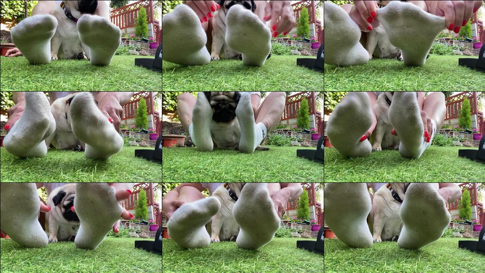 anas_socks 05 06 2021 2128135322 Teasing you with my dirty filthy socks  Happy Weekend losers