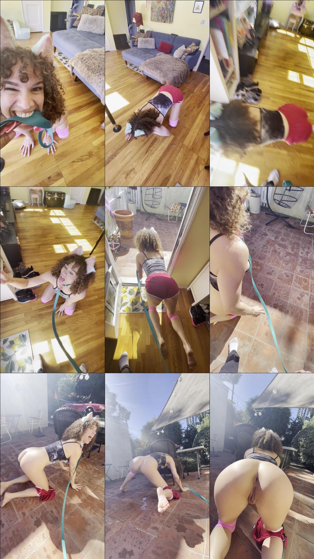 Slutty goes pee outside - November 01, 2021