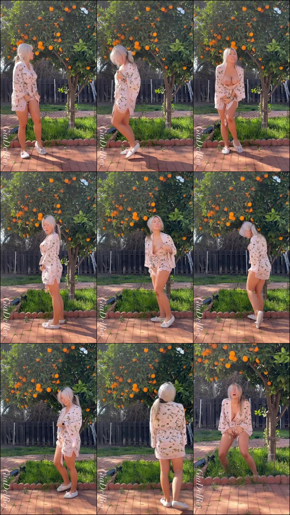 Pissing in my Garden