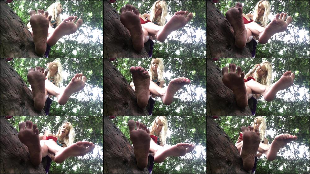 Dirty feet on tree