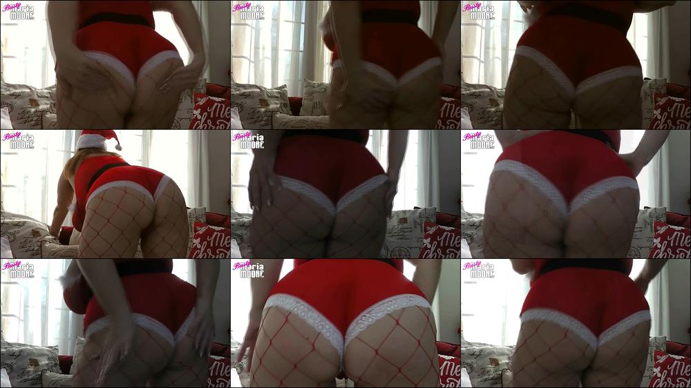 Santa Booty