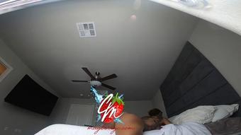 Bed Humping - December 19, 2021 (Brazilianebony)