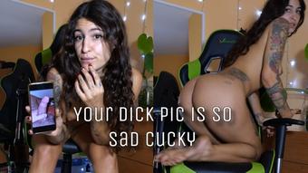 Verbal Humiliation: SPH and CEI for little cock (kristenwylde)