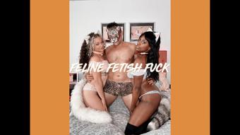 Feline Fetish Fuck (Dallasdom Studios)
