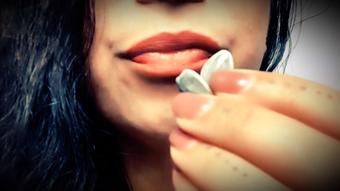 Sunflower Seed ASMR (Drea_xoxo)