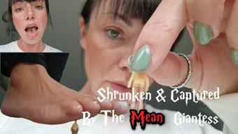 Trapped and Shrunken By The Mean Giantess - November 17, 2024 (yourgirlnextdoor1)