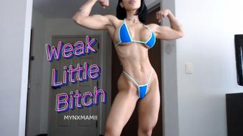 Weak Little Bitch (Fit Mynx)
