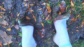 Bare Crew Socks In Mud (Goddess Vanessa)
