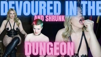 Giantess devours you in the Dungeon (AnnaScotX)