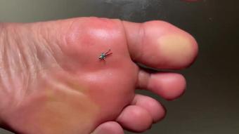 Giantess Smashes With Flip Flops Feet (Pink Foxx)