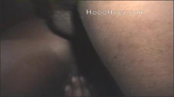 Hoodhoez Tiyfull (Hood Hoez)