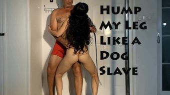 Misslawanda Slave Misslawanda Humps My Leg Like A Da (MissLawanda)