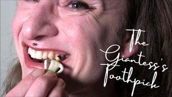 The Giantesses Toothpick - December 20, 2022 (Claudia Kink)