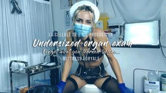 Mistress Euryale Undersized Organ Exam (Mistress Euryale)