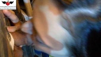 OWilder comes back to my place (nmjnaughtyvixens)