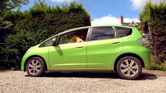 Ariel Anderssen Car Bounce And Shake (Ariel Anderssen)
