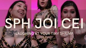 SPH JOI CEI:LAUGHING AT YOUR TINY SHRIMP (devillishgoddess)